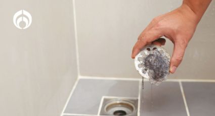 El truco que recomienda la Inteligencia Artificial para quitar el olor a drenaje de tu baño