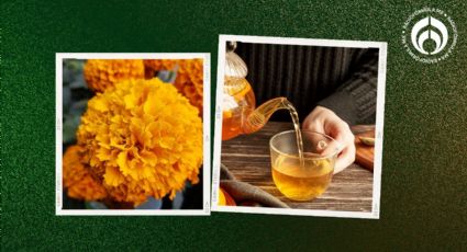 Té de cempasúchil: ¿Para qué sirve y cómo elaborarlo a partir de la flor del Día de Muertos?