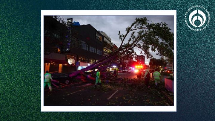 ¡La ropaaa! Emiten alerta amarilla por 'ventarrones' en estas alcaldías de CDMX