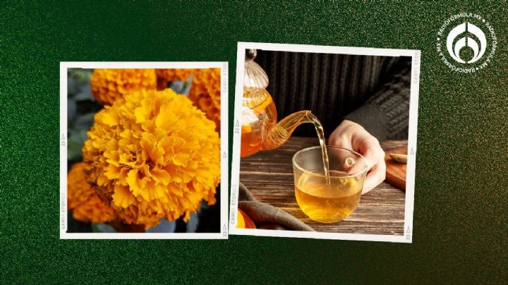 Té de cempasúchil: ¿Para qué sirve y cómo elaborarlo a partir de la flor del Día de Muertos?