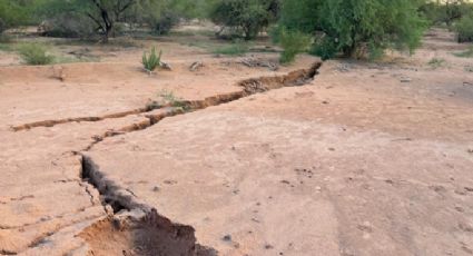 Megazanja en Hermosillo: por esta razón se abrió la tierra en la costa; no fue actividad tectónica