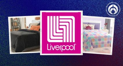 Liverpool: los cobertores invernales con borreguita en súper remate por menos de $1,000