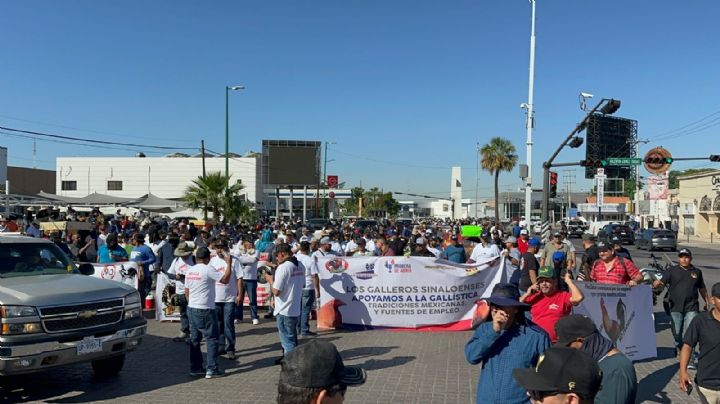 Así fue la megamarcha para rechazar la prohibición a las peleas de gallos en Sonora