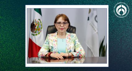 PERFIL Relevo en Cofepris: ¿Quién es Armida Zúñiga, la nueva titular?