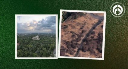 Bosque de Chapultepec: esta es la zona que quieren 'mochar' para construir 'depas' de lujo