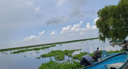 Pesca sin control en la Laguna de Champayán pone en riesgo la repoblación de especies