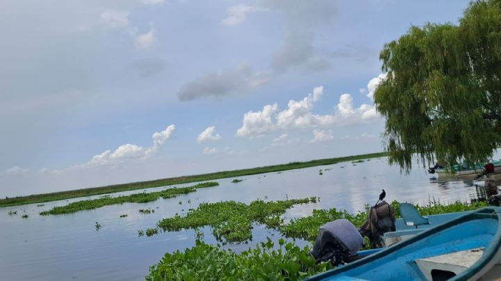 Pesca sin control en la Laguna de Champayán pone en riesgo la repoblación de especies