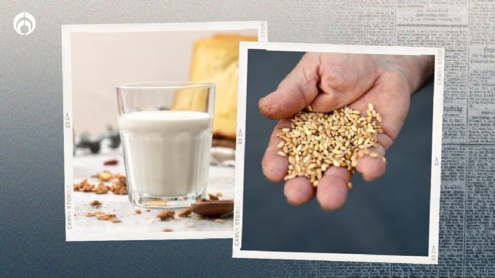 Leche de ajonjolí: ¿Cómo se hace y cuáles son sus beneficios?