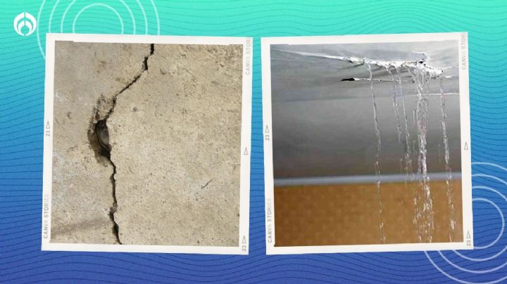 La mezcla perfecta para reparar grietas en el techo y evitar goteras, según Profeco