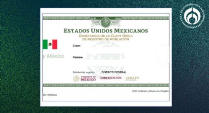 CURP actualizado: ¿cómo es el documento y cómo descargarlo gratis en PDF?