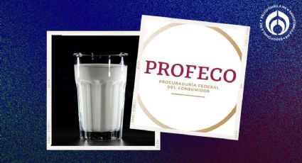 3 productos que seguro piensas que son leche... pero no lo son, según Profeco