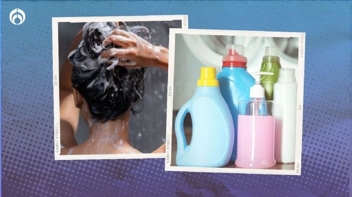 4 detergentes baratos que dejarán sano y suave tu cabello después del baño