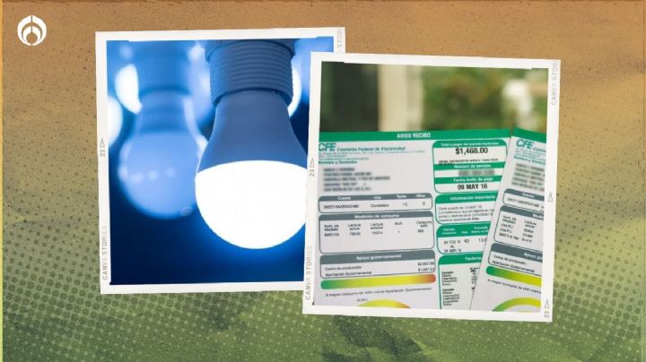 Estos son los focos con los que te llegará más barato el recibo de la luz, según Profeco