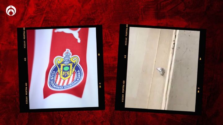 Jugadores de Chivas agreden a la prensa: lanzan petardo y explotó con todos adentro (VIDEOS)