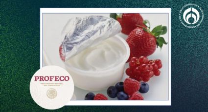 El yogur griego de tan sólo 15 pesos que es saludable y cuenta con la aprobación de Profeco