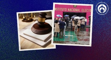 Reforma Judicial: Tribunal Electoral perfila que partidos queden fuera de discusión del INE