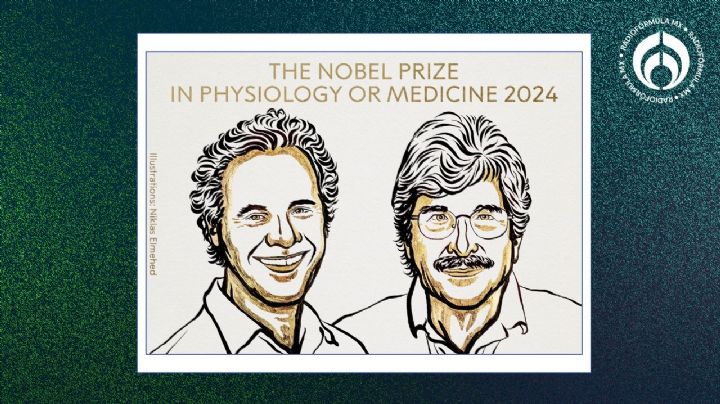 Nobel de Medicina 2024: lo ganan Victor Ambros y Gary Ruvkun por descubrir el micro-ARN