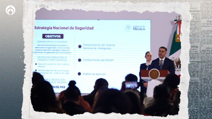 Nuevo plan de seguridad: Tiene calidad, pero carece de diagnóstico detallado, según experto