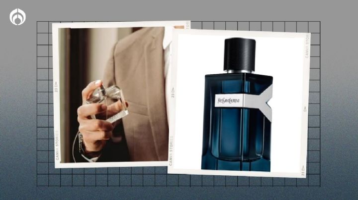 Los 3 perfumes más efectivos para atraer a quien te gusta: son muy masculinos y duran muchísimo