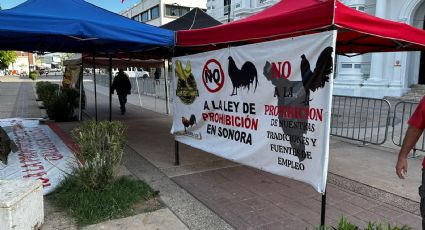 Gallo que canta, tambien da pelea: galleros amenazan con tomar casetas y tesorerías municipales