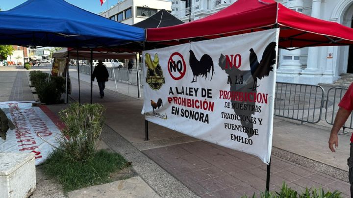 Gallo que canta, tambien da pelea: galleros amenazan con tomar casetas y tesorerías municipales