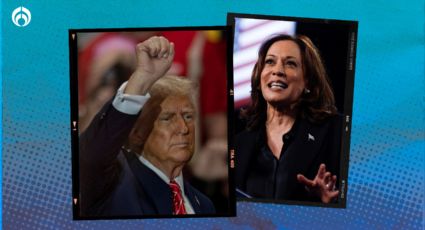 Nevada, Arizona, Nuevo México, Wisconsin y Míchigan: ¿Por qué Trump y Harris han visitado estos estados?