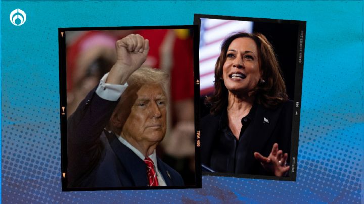 Nevada, Arizona, Nuevo México, Wisconsin y Míchigan: ¿Por qué Trump y Harris han visitado estos estados?