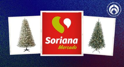 Soriana: 5 árboles de Navidad que están grandes, frondosos y tienen ‘descuentote’