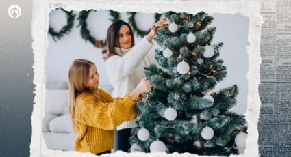 ¿No tienes árbol de Navidad? Estas son 3 ideas fáciles y baratas para sustituirlo