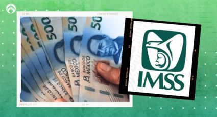 Confirman aumento de pensión IMSS en 2025 con la ley 73: ¿Cuánto dinero recibirás?