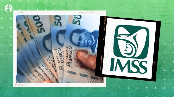 Confirman aumento de pensión IMSS en 2025 con la ley 73: ¿Cuánto dinero recibirás?