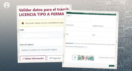 Cita para la licencia permanente en CDMX: ¿cómo conseguir la línea de captura para el pago?