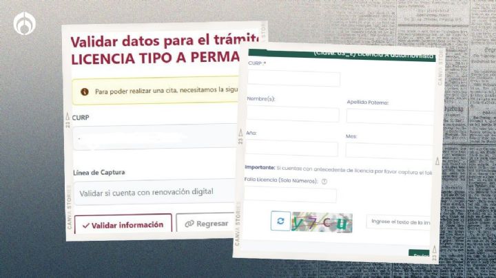 Cita para la licencia permanente en CDMX: ¿cómo conseguir la línea de captura para el pago?