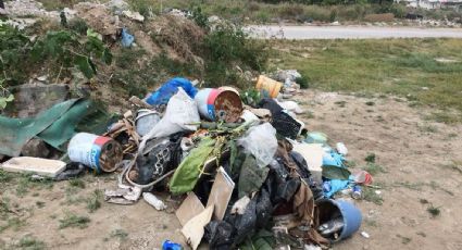 Carretoneros de Madero dejan un rastro de basura en Altamira