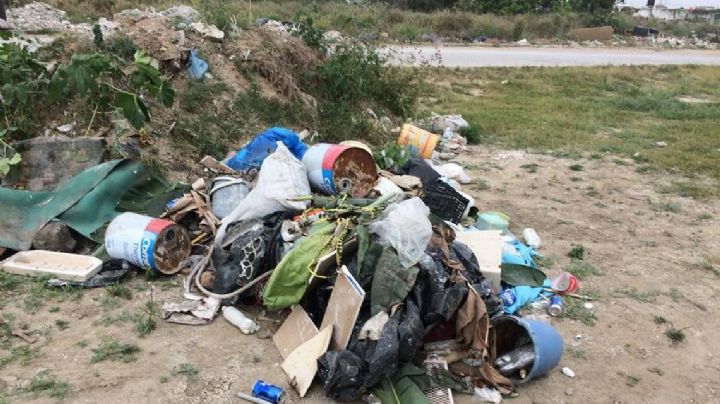 Carretoneros de Madero dejan un rastro de basura en Altamira