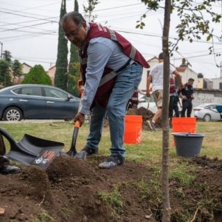 Buscan con "Pulmones Comunitarios" beneficiar medio ambiente en Escobedo NL