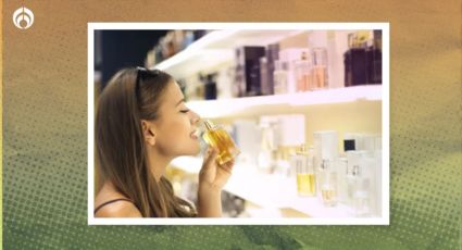 El perfume turco que dura 10 horas en la piel y muchas más en la ropa; es frutal y fresco