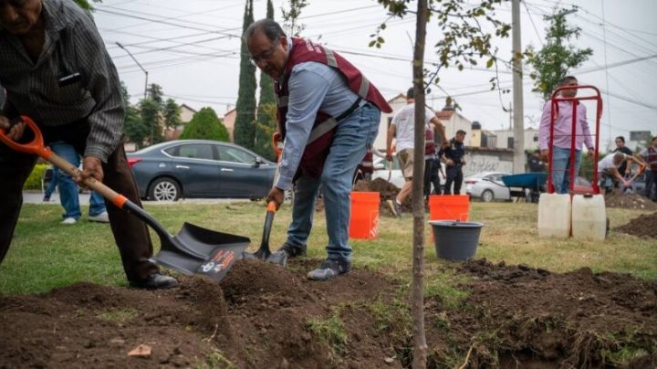 Buscan con "Pulmones Comunitarios" beneficiar medio ambiente en Escobedo NL