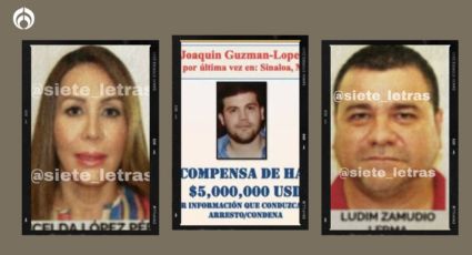 Radiografía de Los Chapitos: así es la red de Joaquín Guzmán López que la Fiscalía investiga (FOTOS)