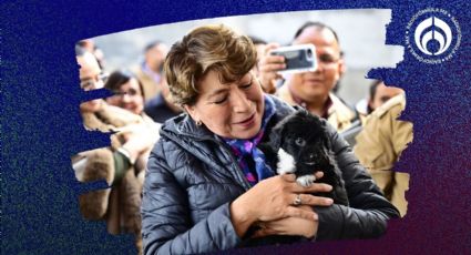 Delfina Gómez inaugura foro de Bienestar Animal: 'tenemos un legado de paz'