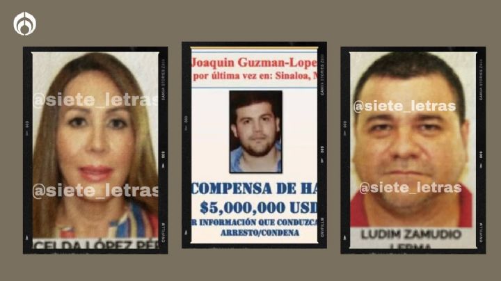 Radiografía de Los Chapitos: así es la red de Joaquín Guzmán López que la Fiscalía investiga (FOTOS)