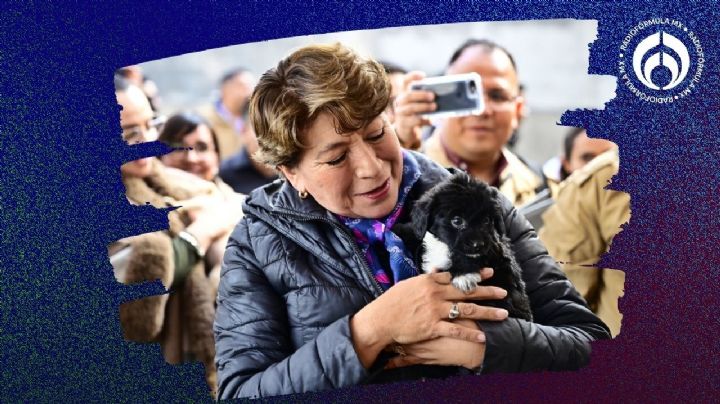 Delfina Gómez inaugura foro de Bienestar Animal: 'tenemos un legado de paz'