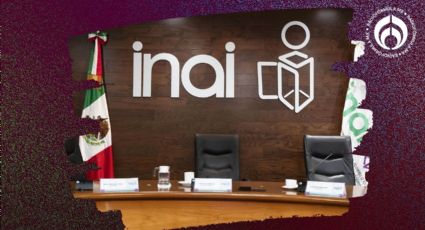 K.O. al INAI: Artículo 19 plantea que datos de plataforma de transparencia tengan respaldo ciudadano