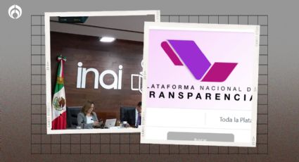 Extinción del INAI: ¿Gobierno se quedará con la plataforma nacional? Sólo 9% de los datos le pertenecen