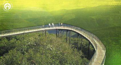 (FOTOS) Camino Real a Tula: un paraíso natural que te sorprenderá con su mirador de cristal