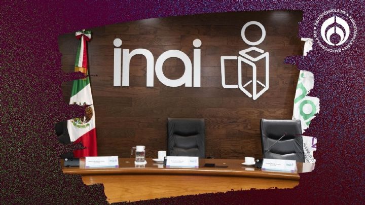 K.O. al INAI: Artículo 19 plantea que datos de plataforma de transparencia tengan respaldo ciudadano