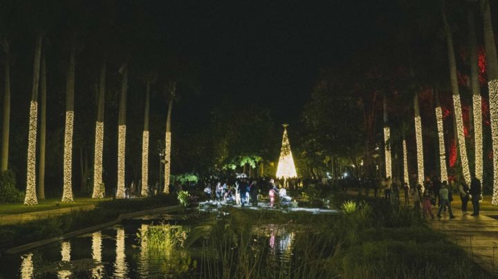 Invitan a Navidad en el Botánico 2024 “Las noches más brillantes del año"