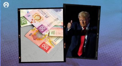 El peso se da un 'break' del estrés por Trump: cierra en 20.43 por dólar