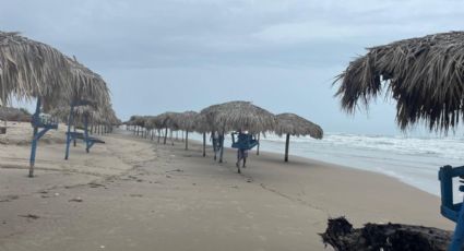 Saqueo de arena en Playa Miramar: movimientos desatan inundaciones y alerta ambiental