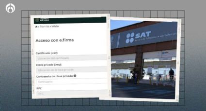 SAT estrena plataforma: estas son las declaraciones que podrás hacer ahí